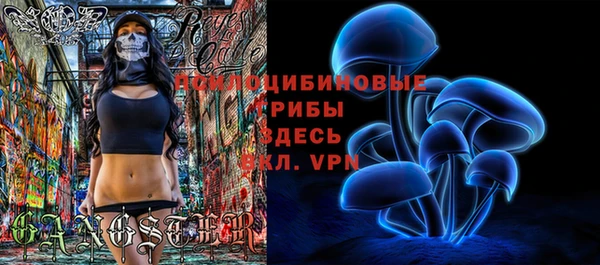 мдма Пролетарск