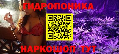 каннабис Будённовск