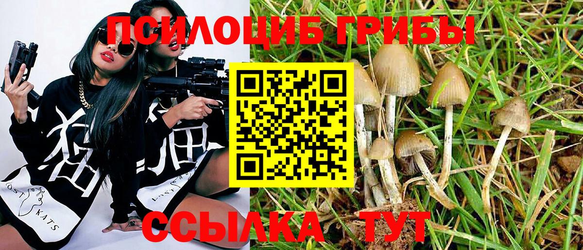 Псилоцибиновые грибы прущие грибы  Вход с VPN  Кимовск 